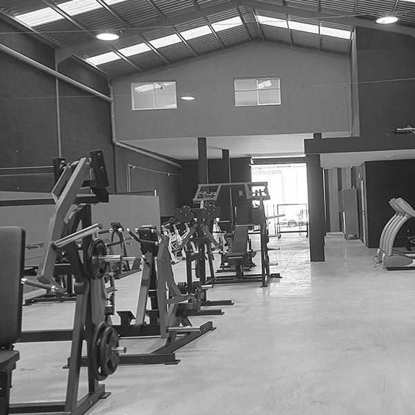 proyecto-actividad-gym-viator-almeria-2023