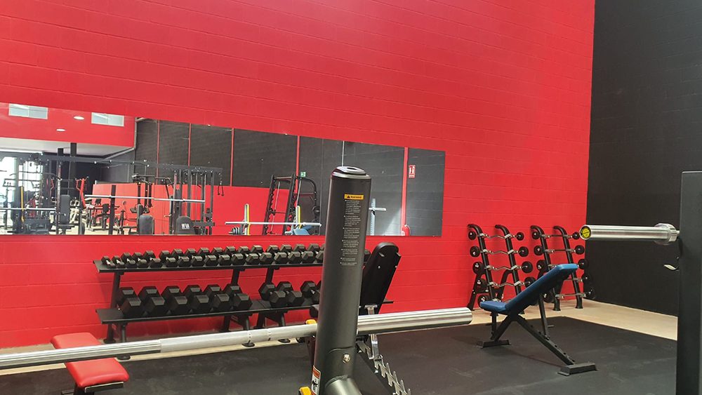 Proyecto actividad Gym