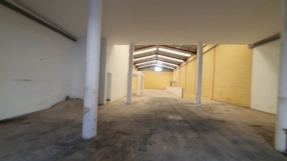 Proyecto actividad Gym