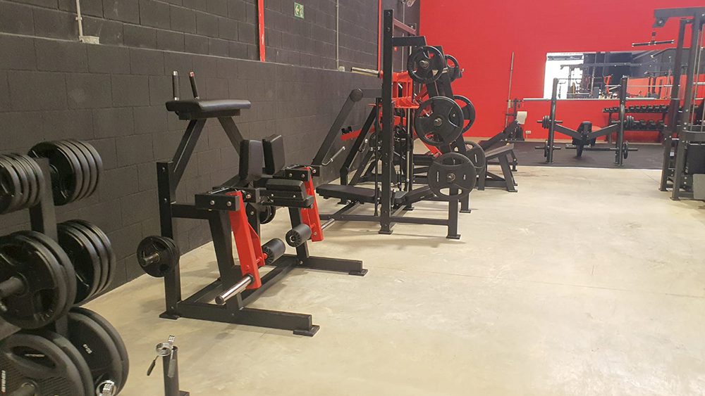 Proyecto actividad Gym