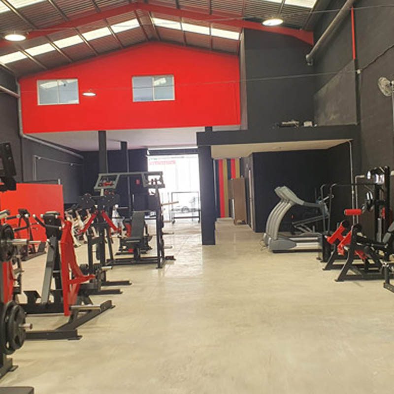 Proyecto actividad Gym